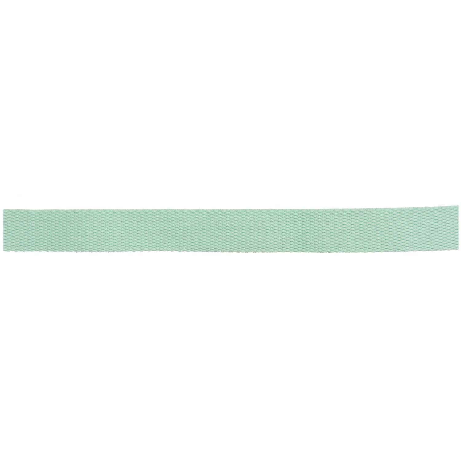 Rico Design Gurtband 25mm 2m Mint